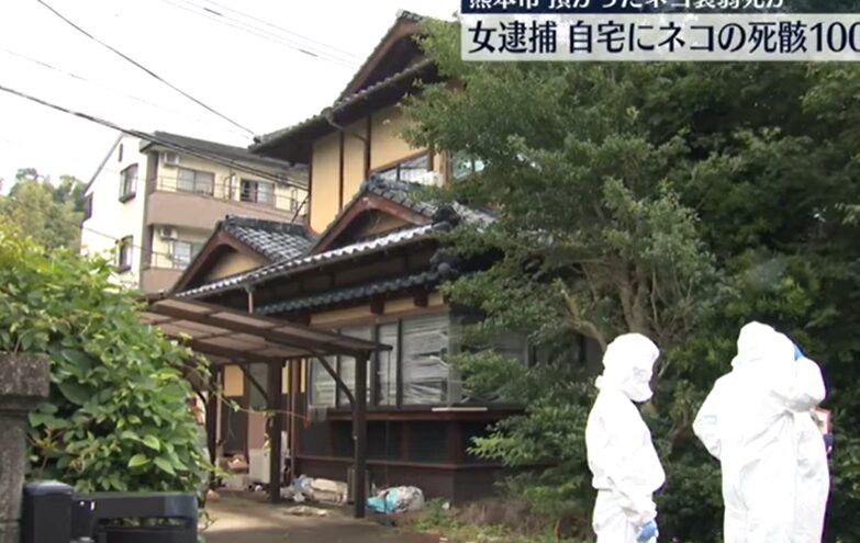 宮田由紀