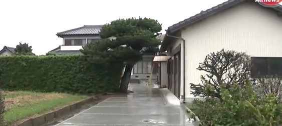 川口陽子